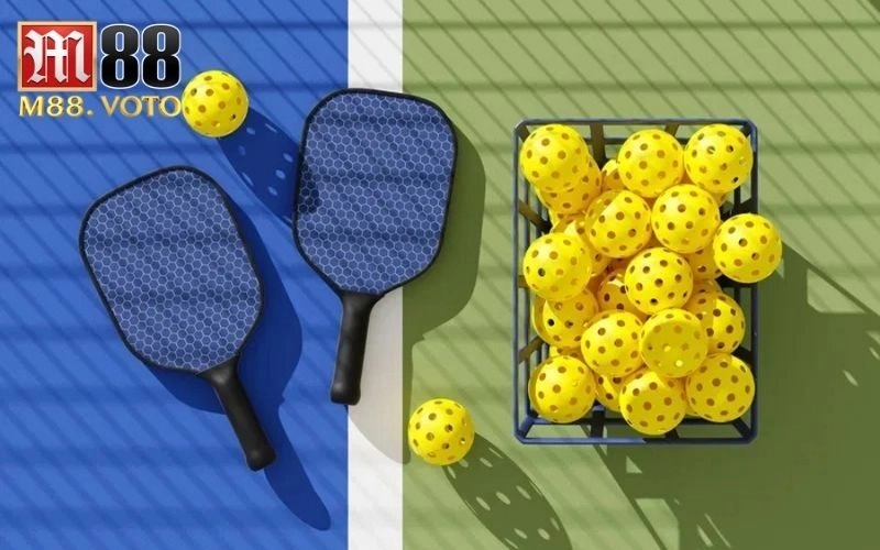 Pickleball là môn thể thao gì? Hướng dẫn chi tiết từ A-Z